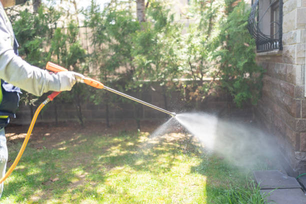 Best Lawn Pest Control  in Jurupa Valley, CA